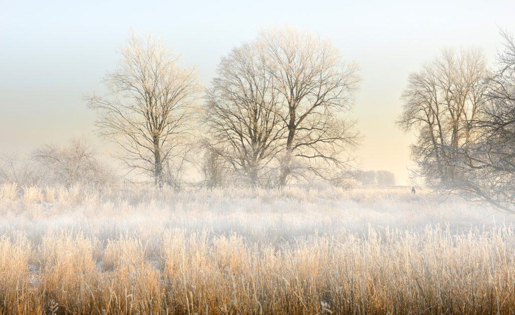 landscape 4007241 1920